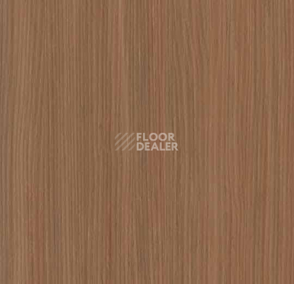 Линолеум Forbo Marmoleum Decibel on Order e523635 fox cub фото 1 | FLOORDEALER